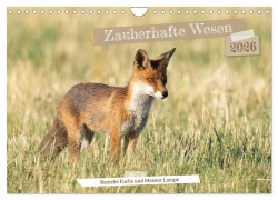 Cover-Bild zum Titel 'Zauberhafte Wesen - Reineke Fuchs und Meister Lampe (Wandkalender 2026 DIN A4 quer), CALVENDO Monatskalender' von 'Angela Merk'