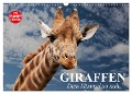 Giraffen. Dem Himmel so nah (Wandkalender 2025 DIN A3 quer), CALVENDO Monatskalender - Elisabeth Stanzer