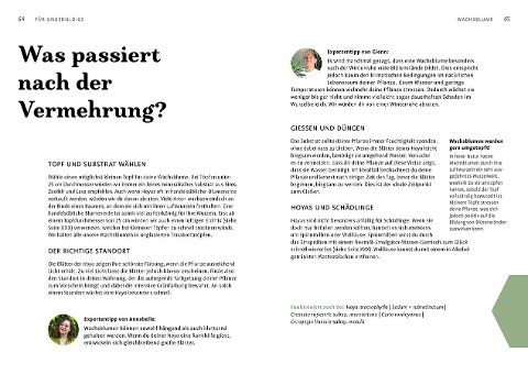 InsideView 7