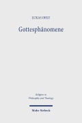 Cover-Bild zum Titel 'Gottesphänomene' von 'Lukas Ohly'