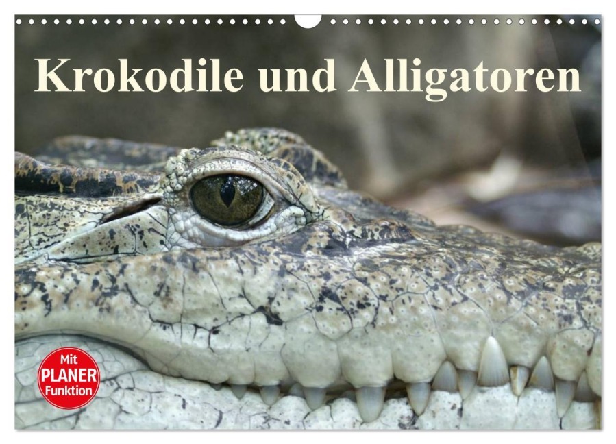 Krokodile und Alligatoren (Wandkalender 2025 DIN A3 quer), CALVENDO Monatskalender - Elisabeth Stanzer