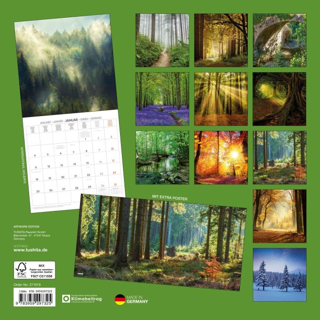 InsideView 13