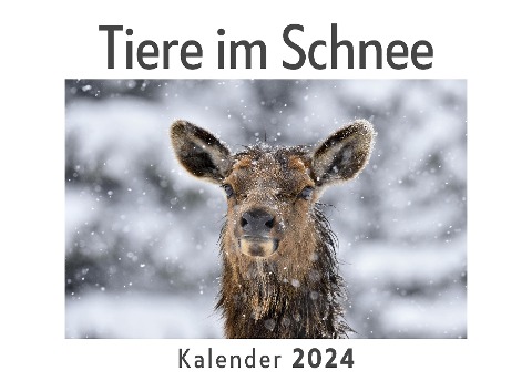 Tiere im Schnee (Wandkalender 2024, Kalender DIN A4 quer, Monatskalender im Querformat mit Kalendarium, Das perfekte Geschenk) - Anna Müller