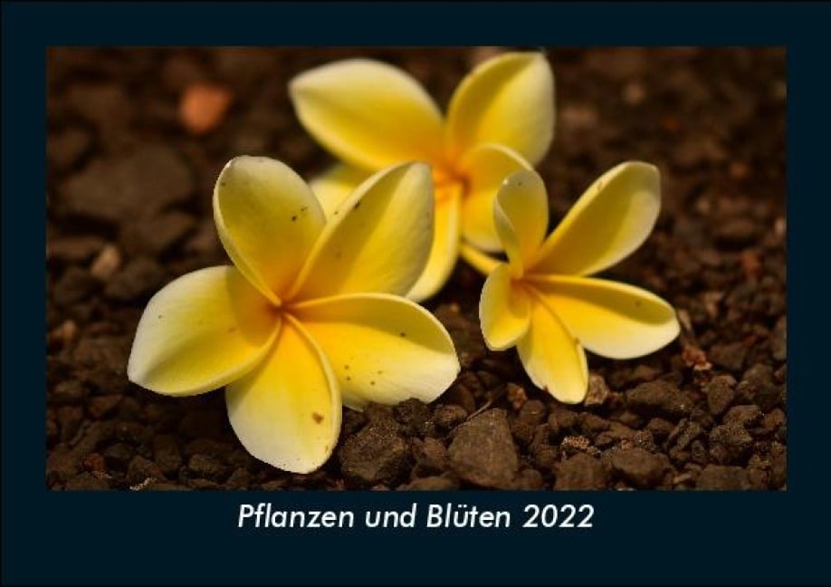 Pflanzen und Blüten 2022 Fotokalender DIN A5 - Tobias Becker