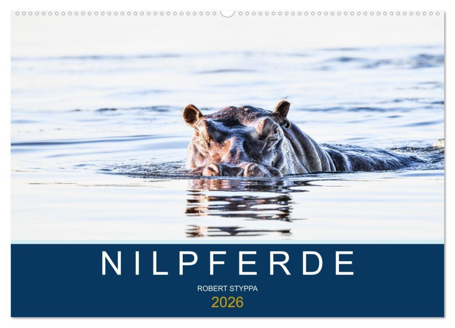 Nilpferde, Kolosse in Afrika (Wandkalender 2026 DIN A2 quer), CALVENDO Monatskalender - Robert Styppa