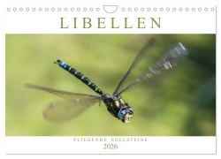 Cover-Bild zum Titel 'Libellen - Fliegende Edelsteine (Wandkalender 2026 DIN A4 quer), CALVENDO Monatskalender' von 'Andreas Lippmann'