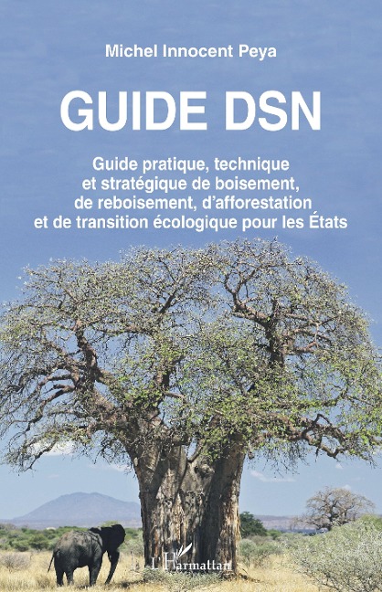 Guide DSN - Peya