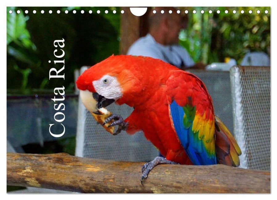 Costa Rica (Wandkalender 2026 DIN A4 quer), CALVENDO Monatskalender - M. Polok M. Polok
