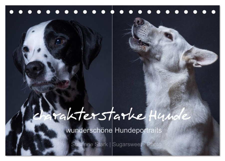 charakterstarke Hunde, wunderschöne Hundeportraits (Tischkalender 2026 DIN A5 quer), CALVENDO Monatskalender - Susanne Stark Sugarsweet - Photo