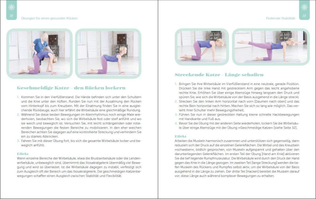 InsideView 3