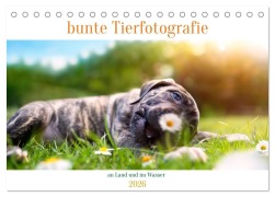 Cover-Bild zum Titel 'bunte Tierfotografie an Land und im Wasser (Tischkalender 2026 DIN A5 quer), CALVENDO Monatskalender' von 'Pfotenblitzer Tierfotografie'