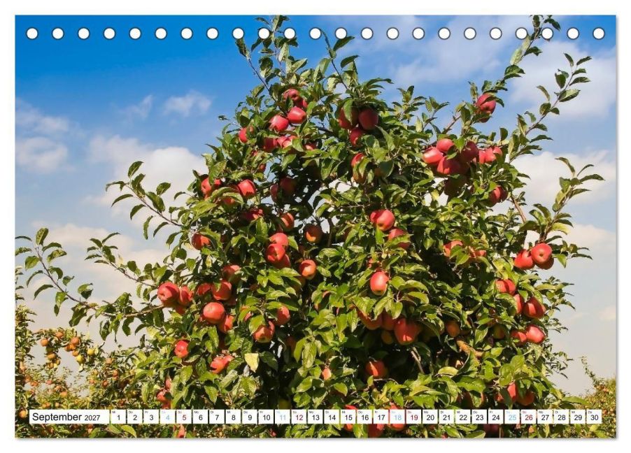 InsideView 14