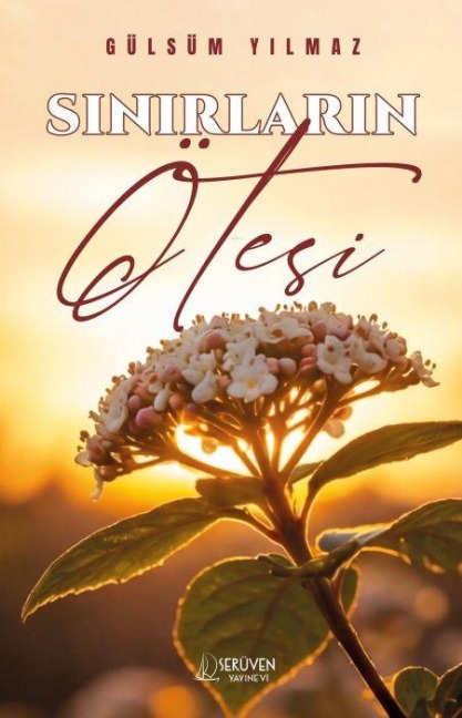 Sinirlarin Ötesi - Gülsüm Yilmaz