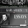 Cover-Bild zum Titel 'Essays 3' von 'Karl Kraus'