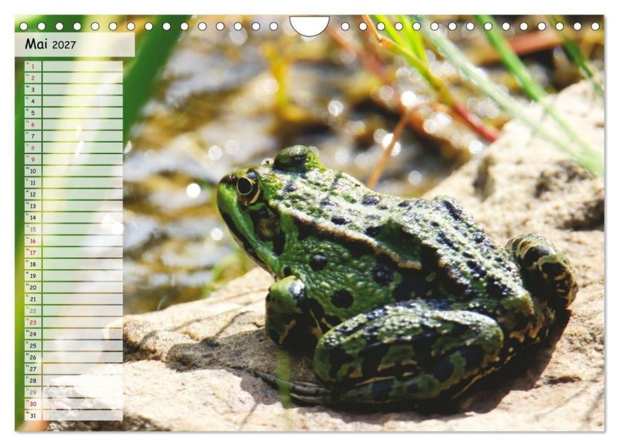 InsideView 10