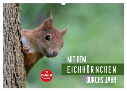 Cover-Bild zum Titel 'Mit dem Eichhörnchen durchs Jahr (Wandkalender 2026 DIN A2 quer), CALVENDO Monatskalender' von 'Margret Brackhan'