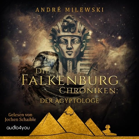 Die Falkenburg Chroniken - André Milewski