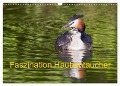 Faszination Haubentaucher (Wandkalender 2024 DIN A3 quer), CALVENDO Monatskalender - Wilfried Martin