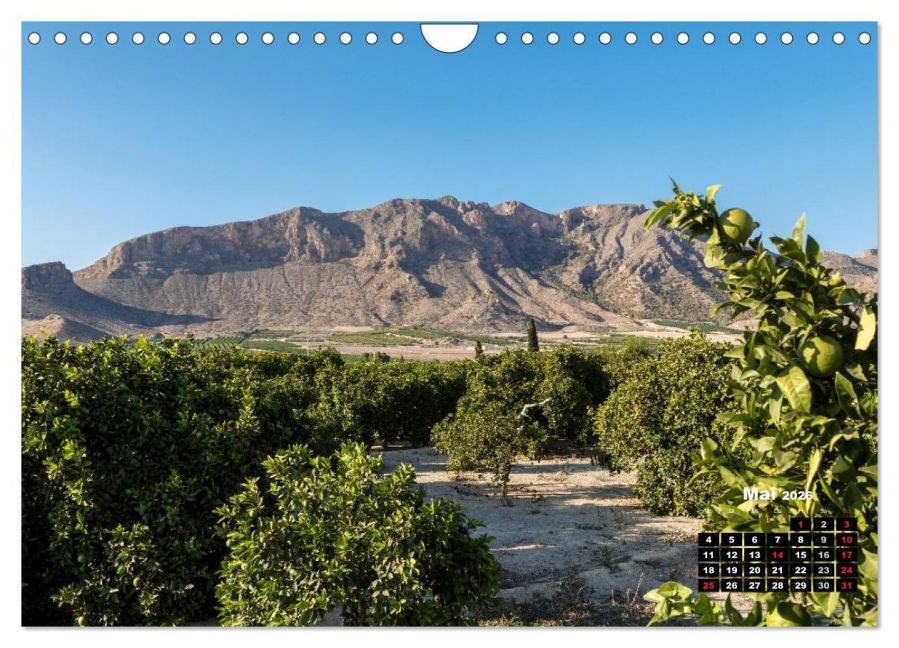 InsideView 10