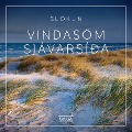 Cover-Bild zum Titel 'Slökun - Vindasöm sjávarsíða' von 'Rasmus Broe'