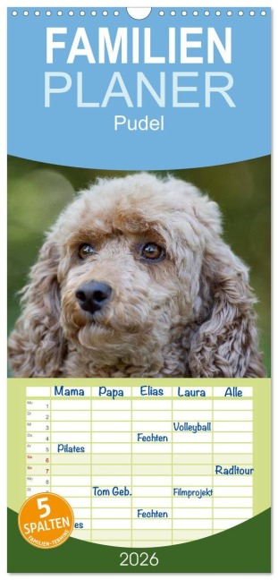 Familienplaner 2026 - Pudel mit 5 Spalten (Wandkalender, 21 x 45 cm) CALVENDO - Nicole Noack