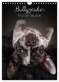 Bullyzauber - Französische Bulldoggen (Wandkalender 2024 DIN A4 hoch), CALVENDO Monatskalender - Silke Gareis (SCHNAPP-Schuss)