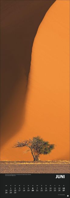 InsideView 6