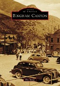Cover-Bild zum Titel 'Bingham Canyon' von 'Tim Dumas'