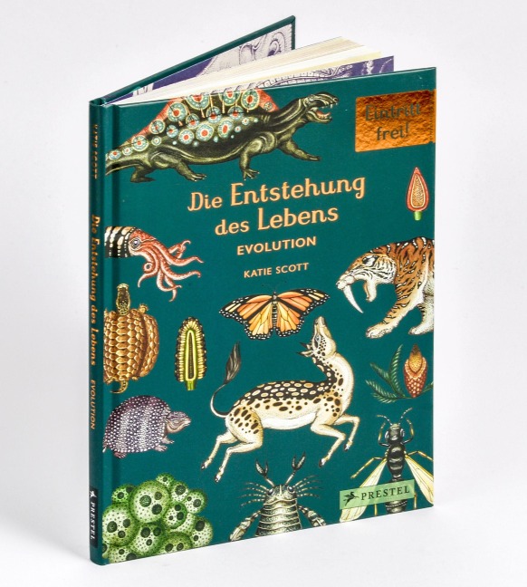 Die Entstehung des Lebens. Evolution - Fiona Munro, Ruth Symons