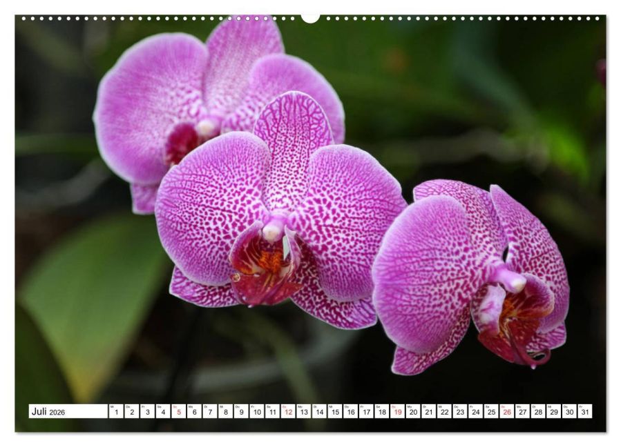 InsideView 12