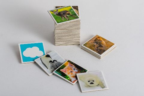 InsideView 4