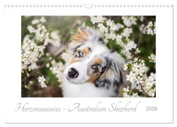 Cover-Bild zum Titel 'Herzensaussies - Australian Shepherd (Wandkalender 2026 DIN A3 quer), CALVENDO Monatskalender' von 'Madlen Kudla'