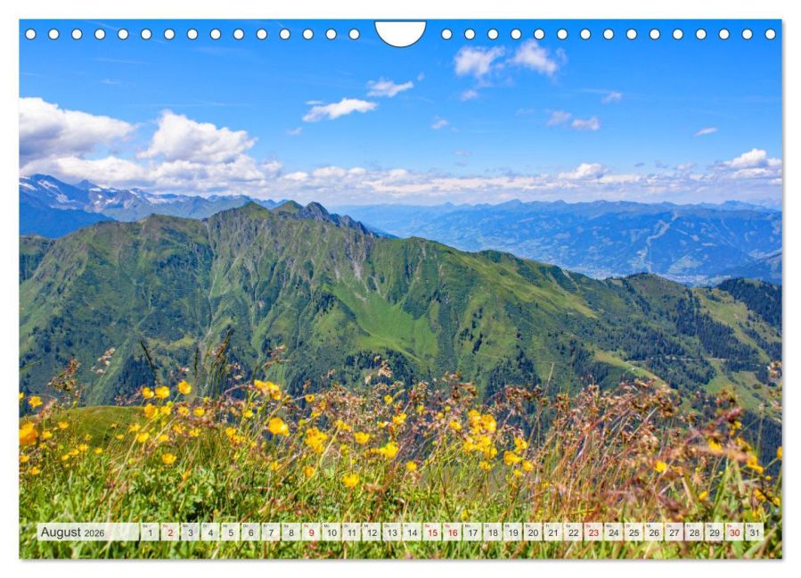 InsideView 13
