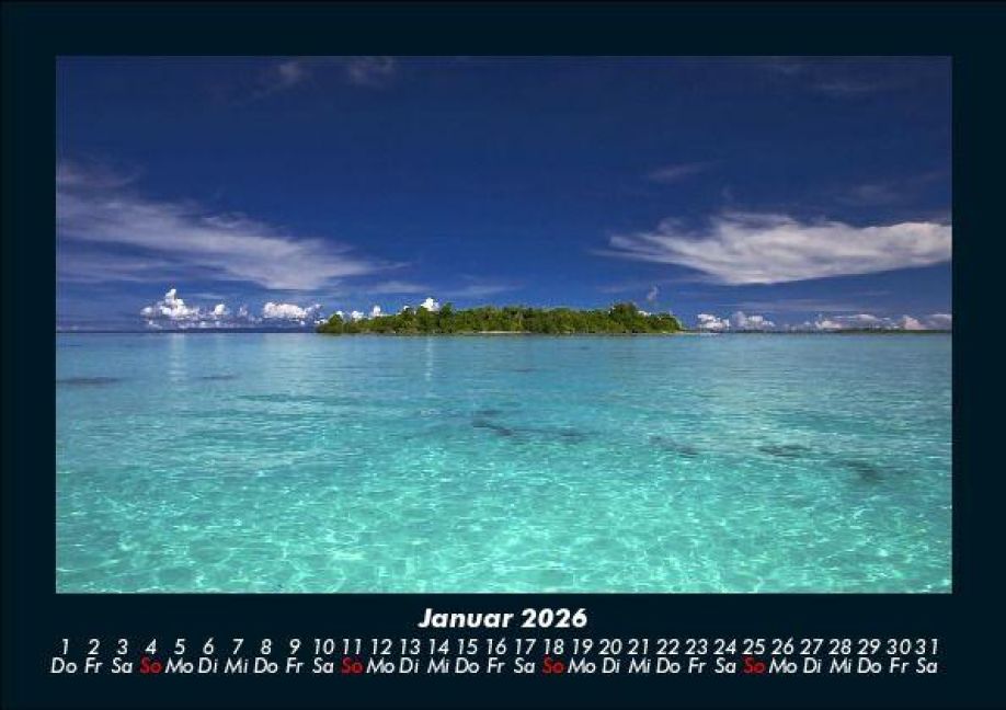 InsideView 5