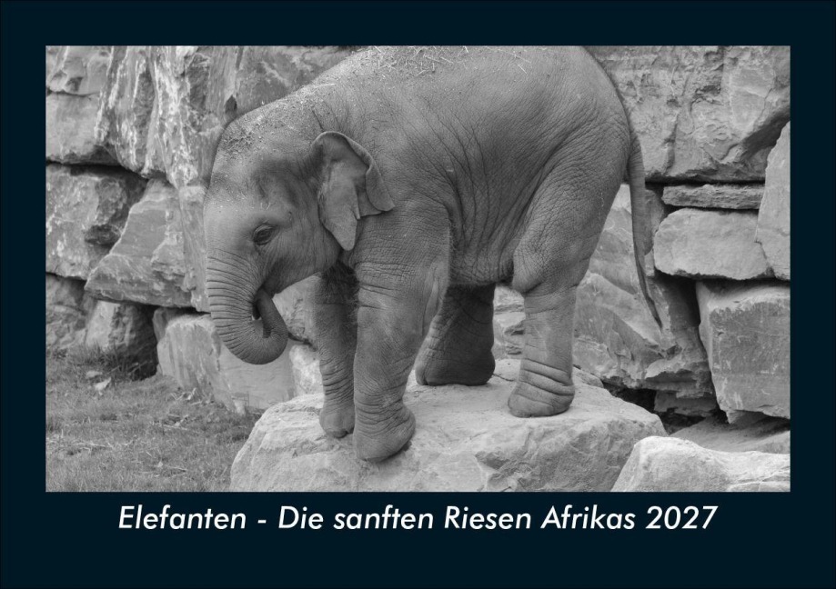 Elefanten - Die sanften Riesen Afrikas 2027 Fotokalender DIN A5 - Tobias Schmitt, Kevin Heber
