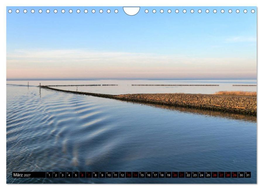 InsideView 8