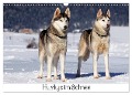 Huskys im Schnee (Wandkalender 2024 DIN A3 quer), CALVENDO Monatskalender - Katrin Zeller & Christian Kiedy