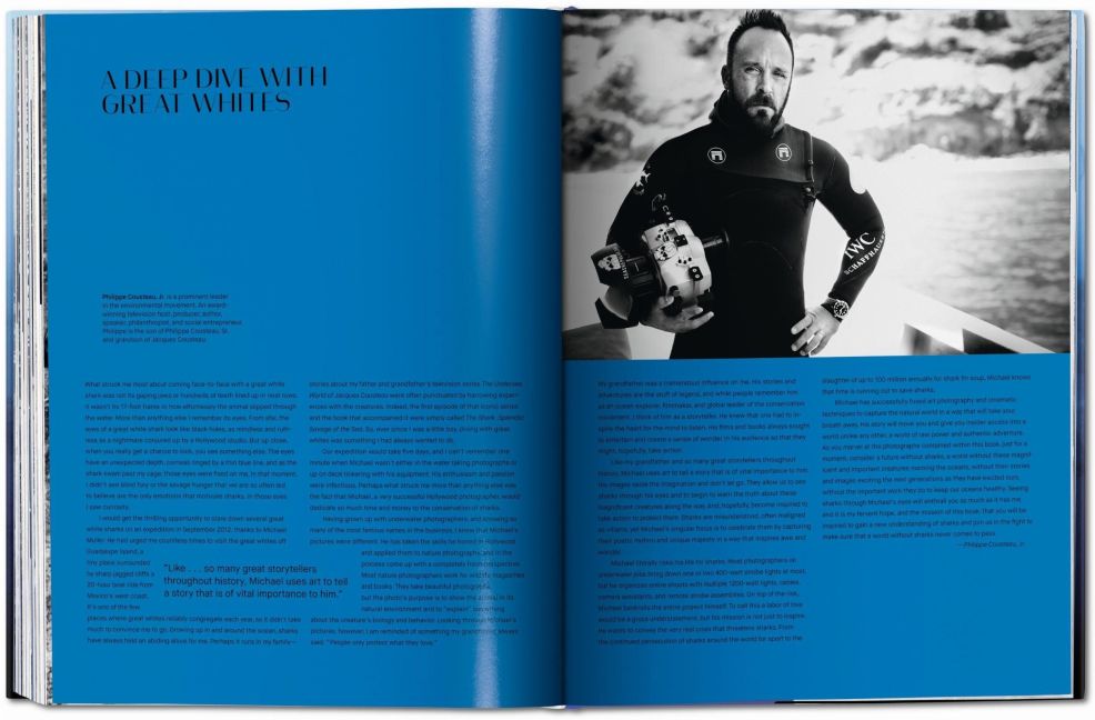 InsideView 11