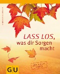 Cover-Bild zum Titel 'Lass los, was Dir Sorgen macht' von 'Sigrid Engelbrecht'