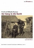 Der Gang in die Nacht - 