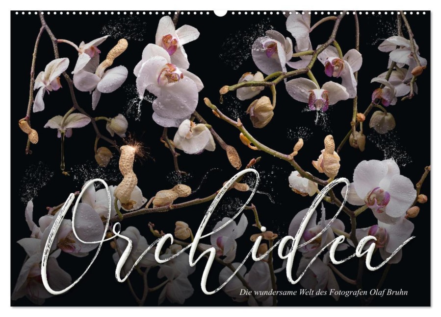 Orchidea (Wandkalender 2026 DIN A2 quer), CALVENDO Monatskalender - Olaf Bruhn