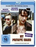 Cover-Bild zum Titel 'My Private Idaho' von 'Gus Van Sant, Bill Stafford'