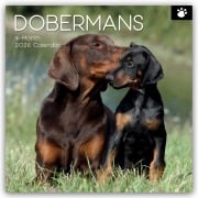 Dobermans - Dobermann 2026 - 16-Monatskalender - Gifted Stationery Co. Ltd