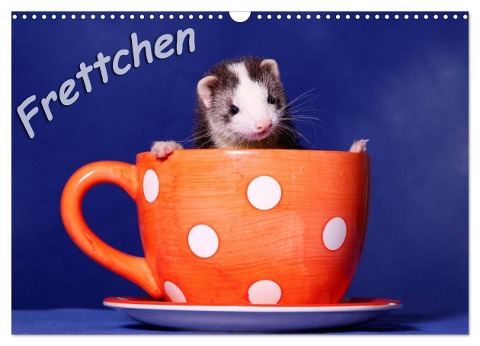 Frettchen - Ferrets (Wandkalender 2024 DIN A3 quer), CALVENDO Monatskalender - Jeanette Hutfluss