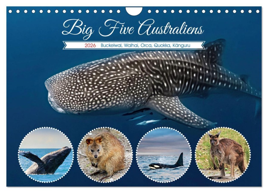 Big Five Australiens Buckelwal, Walhai, Orca, Quokka,Känguru (Wandkalender 2026 DIN A4 quer), CALVENDO Monatskalender - Susan Michel