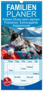 Cover-Bild zum Titel 'Familienplaner 2026 - Katzen-Divas beim alpinen Fotoshoot. Extravagante Katzenmode mit 5 Spalten (Wandkalender, 21 x 45 cm) CALVENDO' von 'Rose Hurley'
