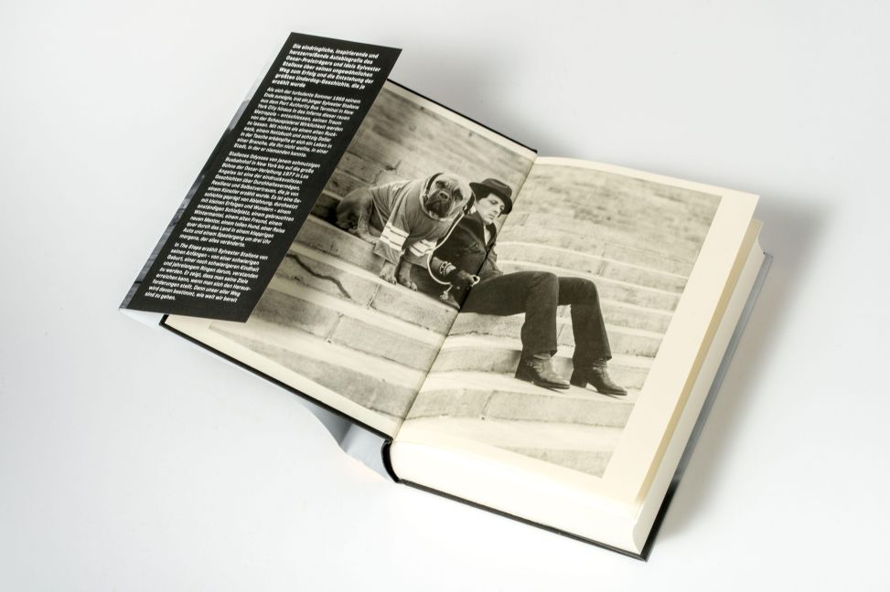InsideView 5