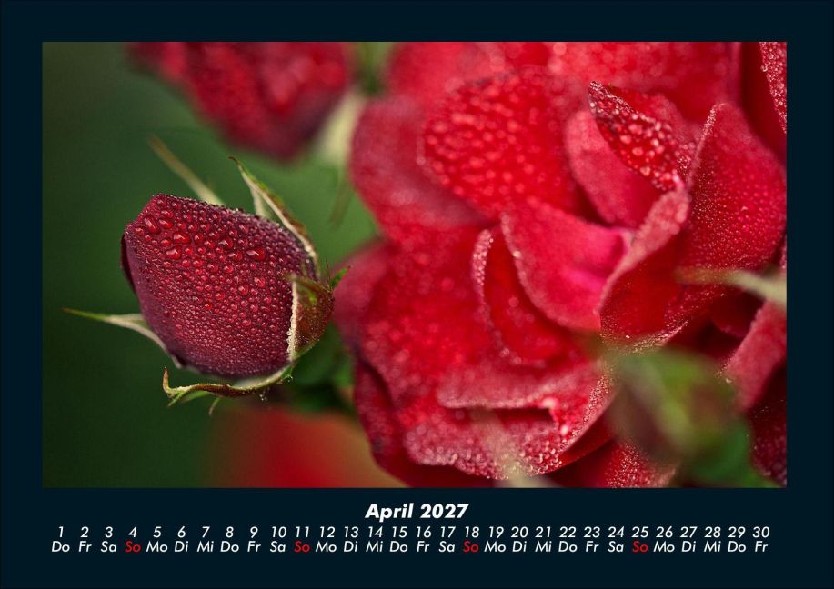 InsideView 8