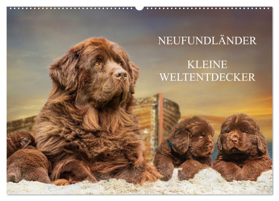 Neufundländer - Kleine Weltentdecker (Wandkalender 2025 DIN A2 quer), CALVENDO Monatskalender - Sigrid Starick