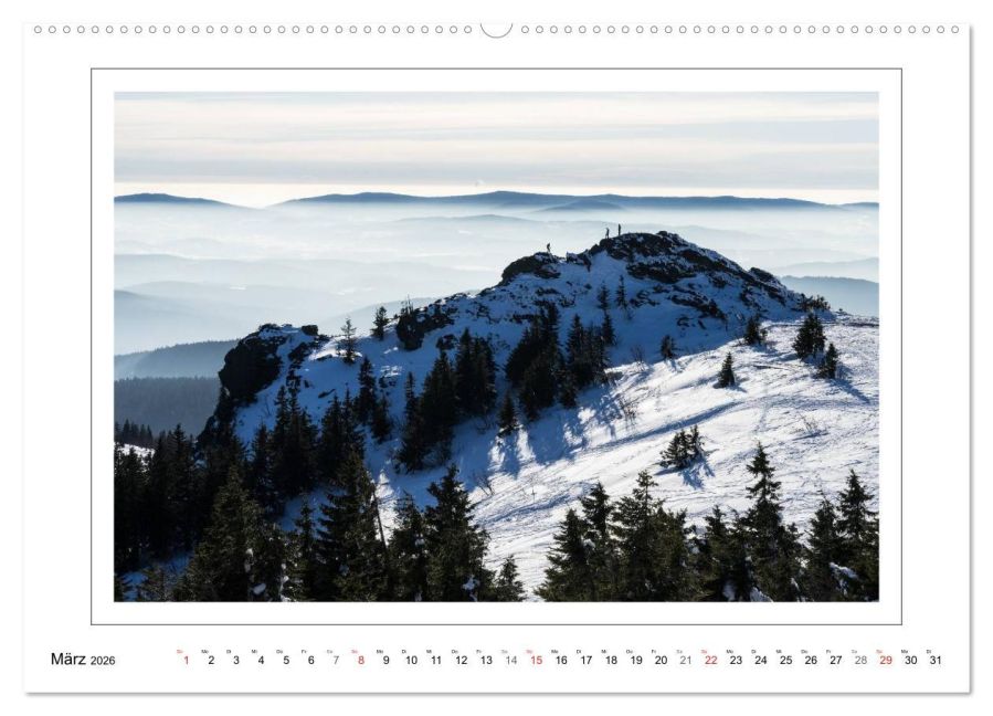 InsideView 8